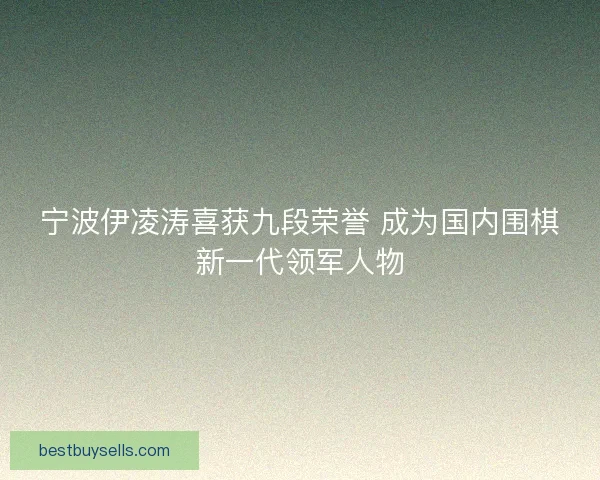 宁波伊凌涛喜获九段荣誉 成为国内围棋新一代领军人物